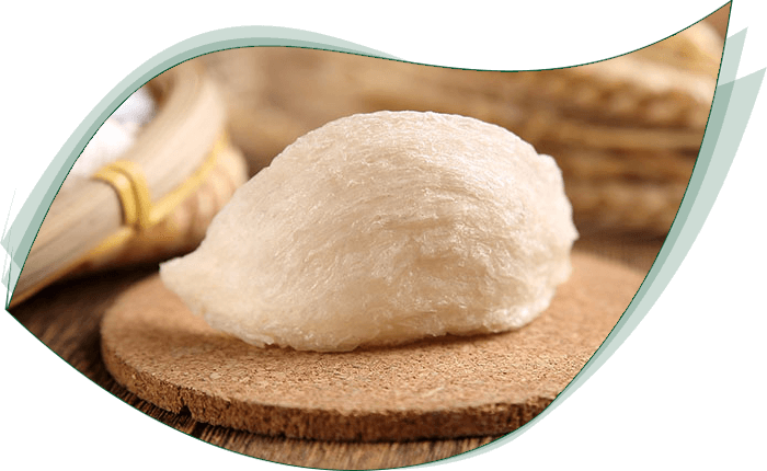 Công ty TNHH MTV Yến Sào Ngọc Đăng