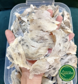 [100gram] Tổ yến thô bể