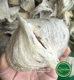 [100gram] Tổ yến thô ít lông