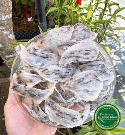 [100gram] Tổ thô nhiều lông