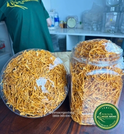 [100gram] Đông trùng hạ thảo sấy thăng hoa - Xô Dài