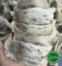 [100gram] Tổ thô nhiều lông