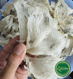 [100gram] Tổ yến thô bể 