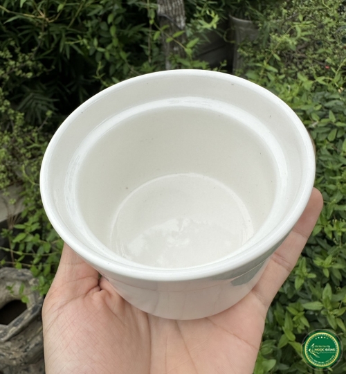 Thố yến chưng Ngọc Đăng
