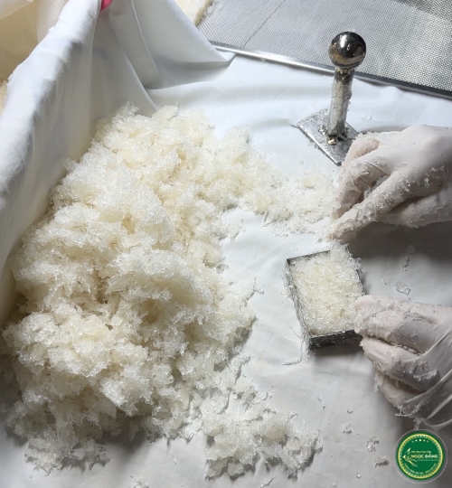 [100gram] Yến vụn vuông