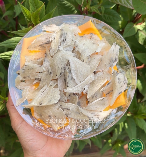 [100gram] Chân tổ yến thô ít lông 