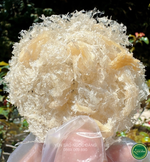 [100gram] Yến tinh chế sợi ngắn đắp chân