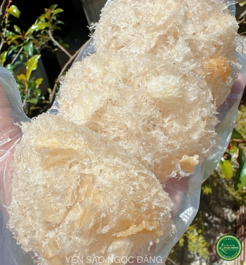 [100gram] Yến tinh chế sợi ngắn đắp chân