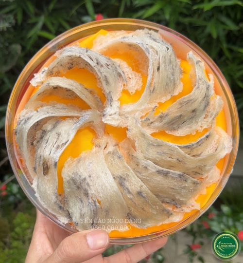 [100gram] Tổ thô già cồ