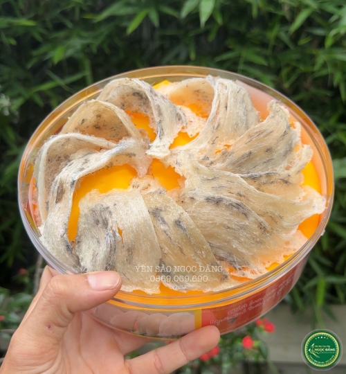 [100gram] Tổ thô già cồ