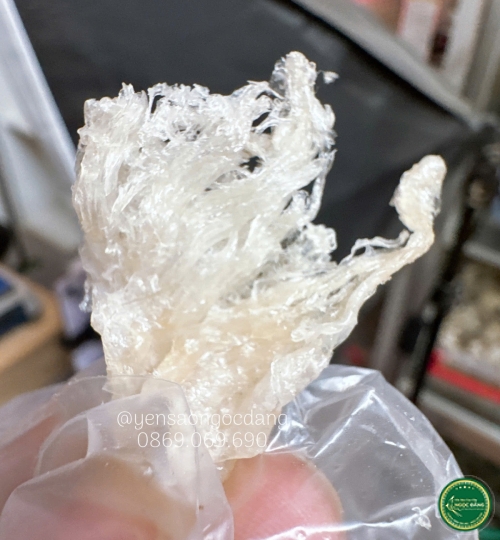 [100gram] Chân yến gốc tinh chế