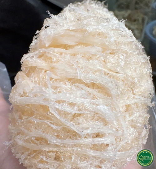 [100gram] Yến sợi ngắn
