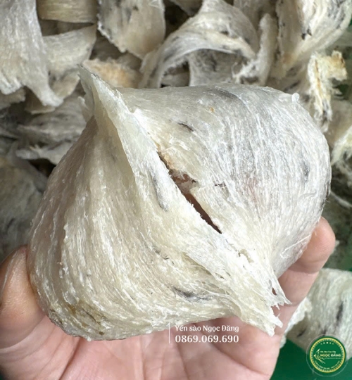 [100gram] Tổ yến thô ít lông