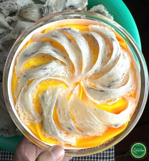 [100gram] Tổ yến thô ít lông