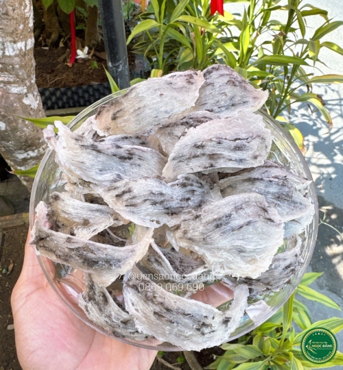 [100gram] Tổ thô nhiều lông