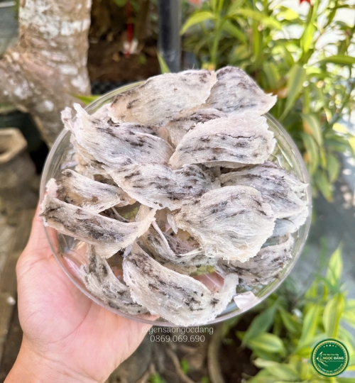 [100gram] Tổ thô nhiều lông