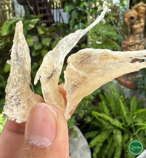 [100gram] Chân tổ yến thô nhỏ