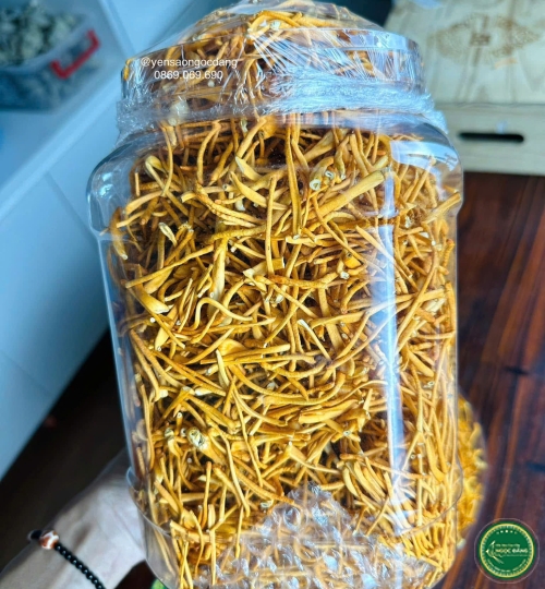 [100gram] Đông trùng hạ thảo sấy thăng hoa - Xô Dài
