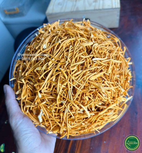 [100gram] Đông trùng hạ thảo sấy thăng hoa - Xô Dài