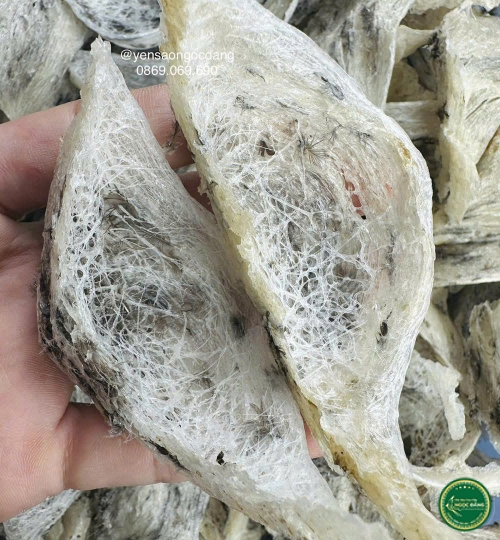 [100gram] Tổ thô nhiều lông