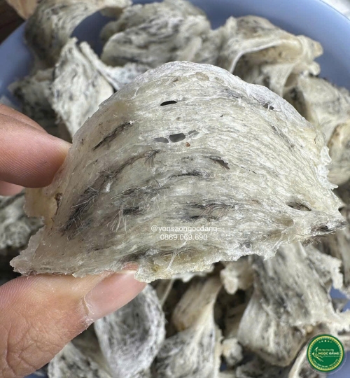 [100gram] Tổ thô nhiều lông