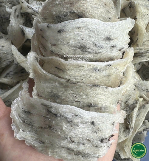 [100gram] Tổ thô nhiều lông