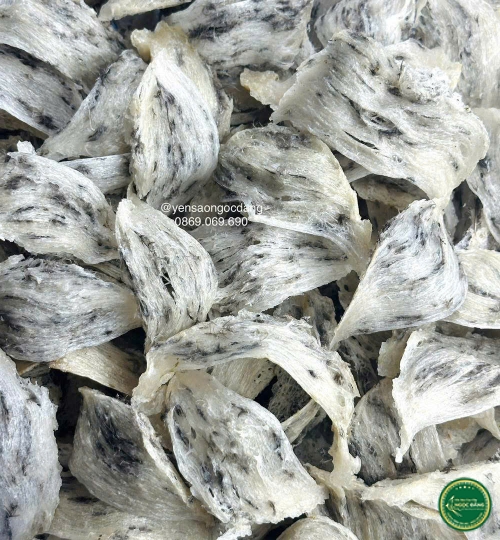 [100gram] Tổ thô nhiều lông