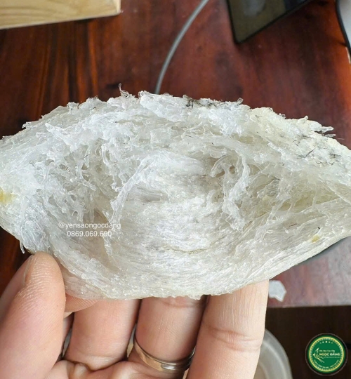 [100gram] Tổ yến thô bể 