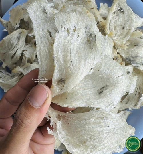 [100gram] Tổ yến thô bể 