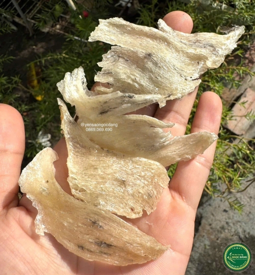 [100gram] Chân yến thô lớn