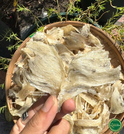 [100gram] Chân yến thô lớn