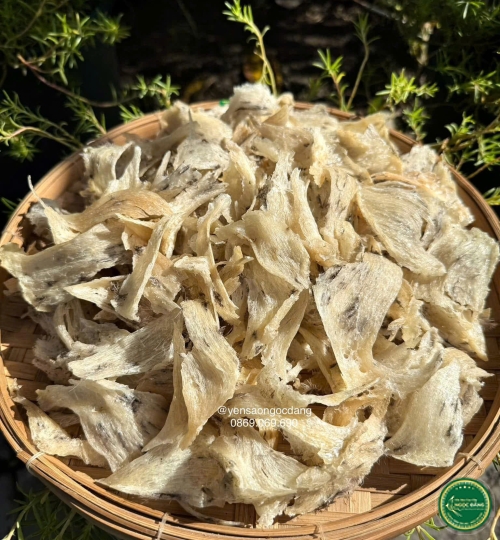 [100gram] Chân yến thô lớn